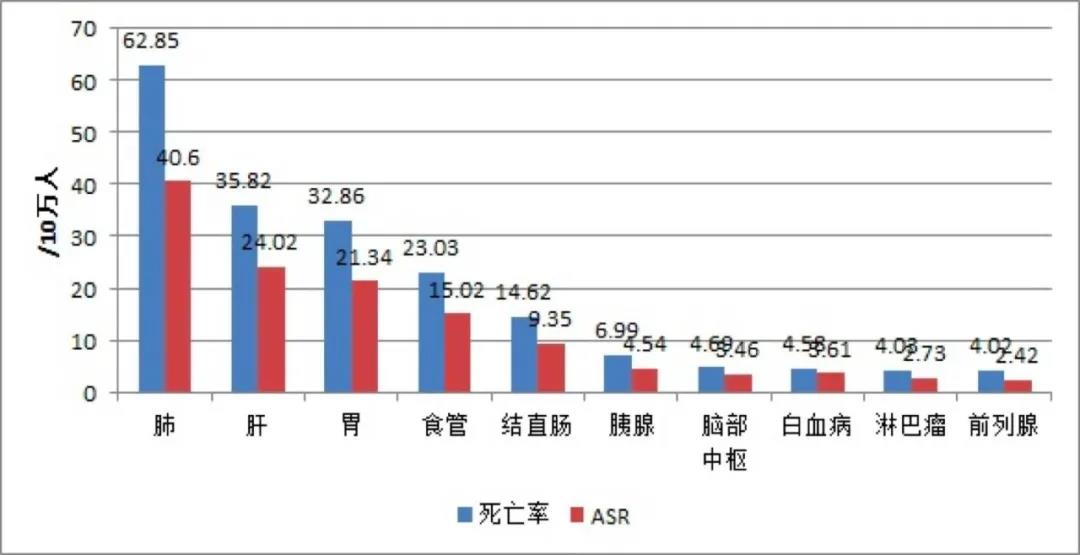 干细胞治疗