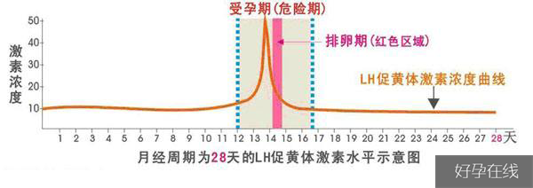 LH峰值图